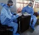 UK Started Human Trials of Corona Vaccine