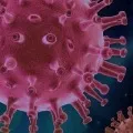 WHO After China Revises COVID19 Deaths