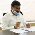 AP Minister Vellampalli says no entry for devotees in temples across state