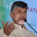 Chandrababu fires on AP DGP over social media posts