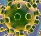 Woman Who came from Jordan found Corona virus symptoms