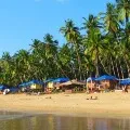 Dont Come To Goa To Enjoy Says Chief Minister Pramod Sawant