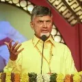 Chandrababu tweets a video of migrants in Tamilnadu