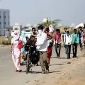 CM Jagan announced free transport for migrants within AP