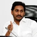 CM Jagan Review on corona virus
