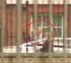 British PM Boris Johnson Hospitalised 10 Days After Testing Positive