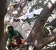 youth quarantined themselves for 14 days on a tree