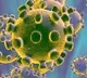 4 With Suspected Coronavirus Leave Nagpur Hospital Without Informing