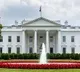 white house twitter following indians