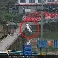 Busy On Phone Driver Crashes Into River 10 Minutes After Getting License