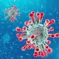 17 New Corona Positive Cases in Andhrapradesh