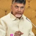Hired volunteers with public money are for bow down YCP leaders only Questions Chandrababu