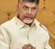 Hired volunteers with public money are for bow down YCP leaders only Questions Chandrababu