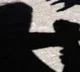 Lender kidnapped borrowers wife in Khammam