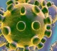 A small mistake made Italy a biggest sufferer of corona virus