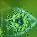 movie on corona virus