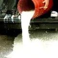 Milk and Vegetables waste in New Delhi