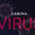 no corona virus in taiwan person