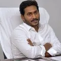 ncbn garu on his birthday jagan