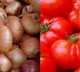 Onion and Tomato Price Drop in Market