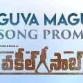 Maguva Maguva promo from Vakeel Saab
