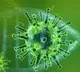 coronavirus cases in telangana