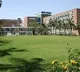 AIIMS Medical Superintendent issued an orders to get Hydroxychloroquine tablets