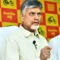 Chandrababu lambastes Ysrcp leaders