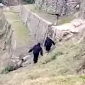 ITBP Army Plan to escape from Monkeys