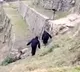 ITBP Army Plan to escape from Monkeys