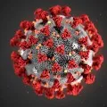 Wuhan like L type corona virus appers in Gujarat