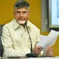 TDP Chief Chandrababu Naidu writes to AP Governor