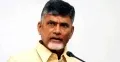 Chandrababau Naidu praises Nurses