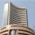 Stock Market Loss