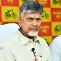 Chandrababu demands AP DGP must answer about Macherla incident
