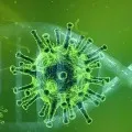 Experts warn of oxygen shortages in poorer virus threatened nations