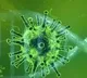 Experts warn of oxygen shortages in poorer virus threatened nations