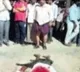 telugu.html