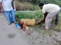 telugu.html