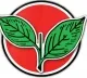 telugu.html