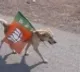 telugu.html