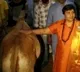 telugu.html
