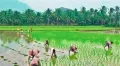 telugu.html