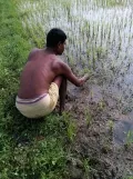 telugu.html