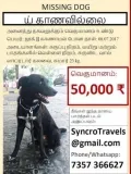 telugu.html