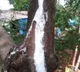 telugu.html