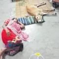 telugu.html