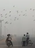telugu.html