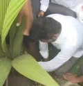 telugu.html