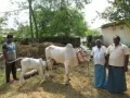telugu.html
